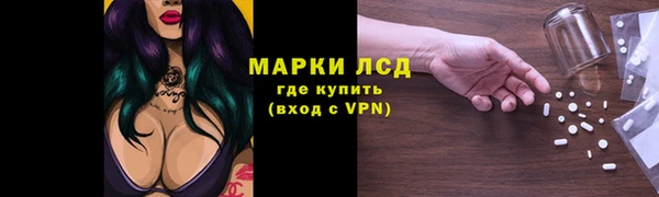 ALPHA PVP Покров
