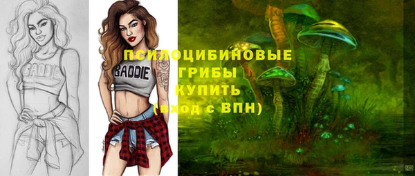 ALPHA PVP Покров