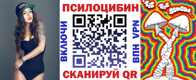 Галлюциногенные грибы Psilocybe  кракен ONION  Хабаровск 