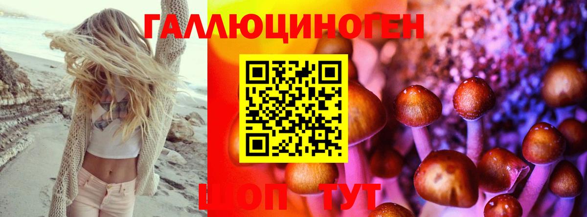 Галлюциногенные грибы GOLDEN TEACHER  Вход с VPN  Хабаровск 