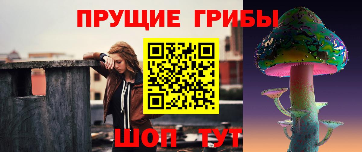 Псилоцибиновые грибы Cubensis Хабаровск